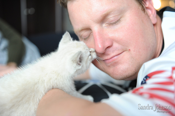 Best Cat Portraits by Sandra Johnson - Sandra Johnson (SJFoto.com)