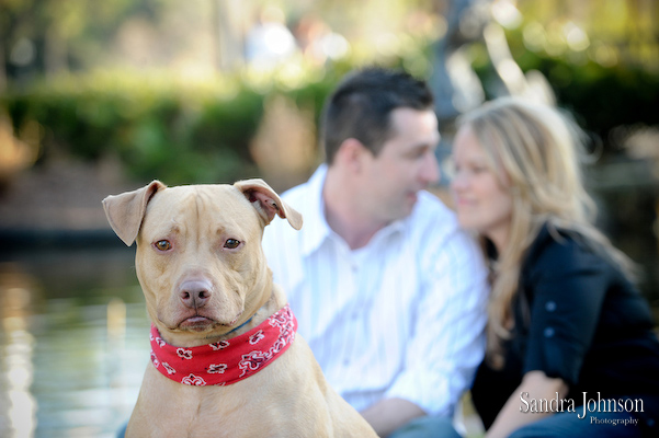 Pet Photos
