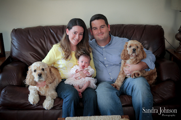 Best Orlando Pet Photographer - Sandra Johnson (SJFoto.com)