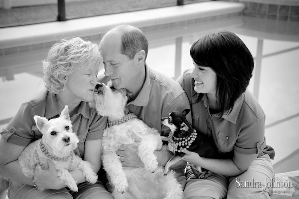 Best Orlando Pet Photographer - Sandra Johnson (SJFoto.com)