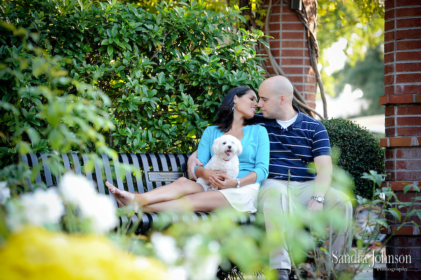 Best Orlando Pet Photographer - Sandra Johnson (SJFoto.com)