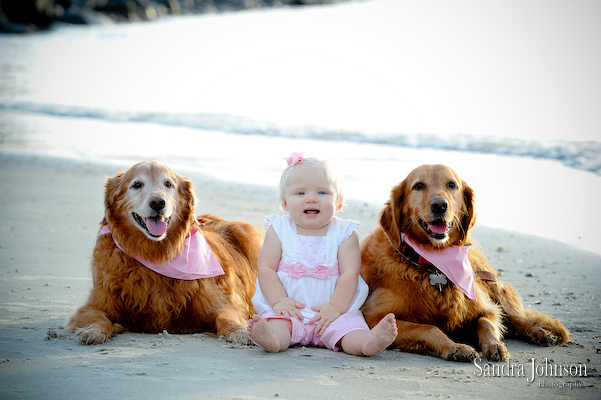 Best Orlando Pet Photographer - Sandra Johnson (SJFoto.com)