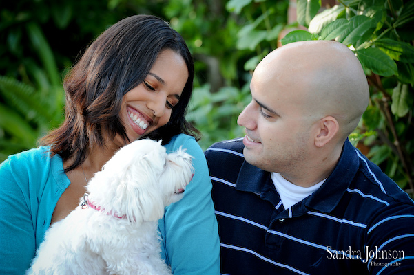 Best Orlando Pet Photographer - Sandra Johnson (SJFoto.com)