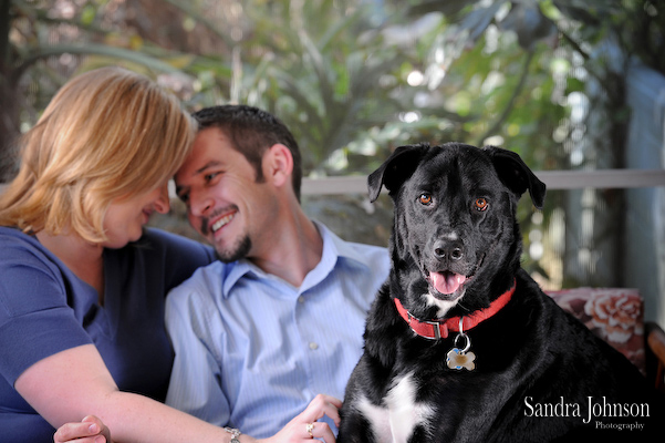Best Orlando Pet Photographer - Sandra Johnson (SJFoto.com)