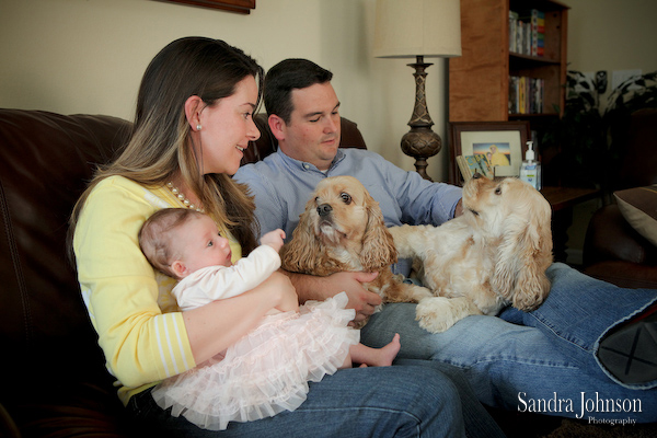 Best Orlando Pet Photographer - Sandra Johnson (SJFoto.com)