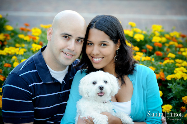 Best Orlando Pet Photographer - Sandra Johnson (SJFoto.com)