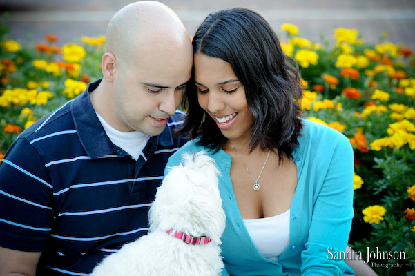 Best Orlando Pet Photographer - Sandra Johnson (SJFoto.com)