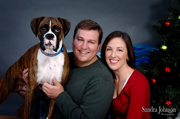 Best Holiday Pet Portraits by Sandra Johnson - Sandra Johnson (SJFoto.com)